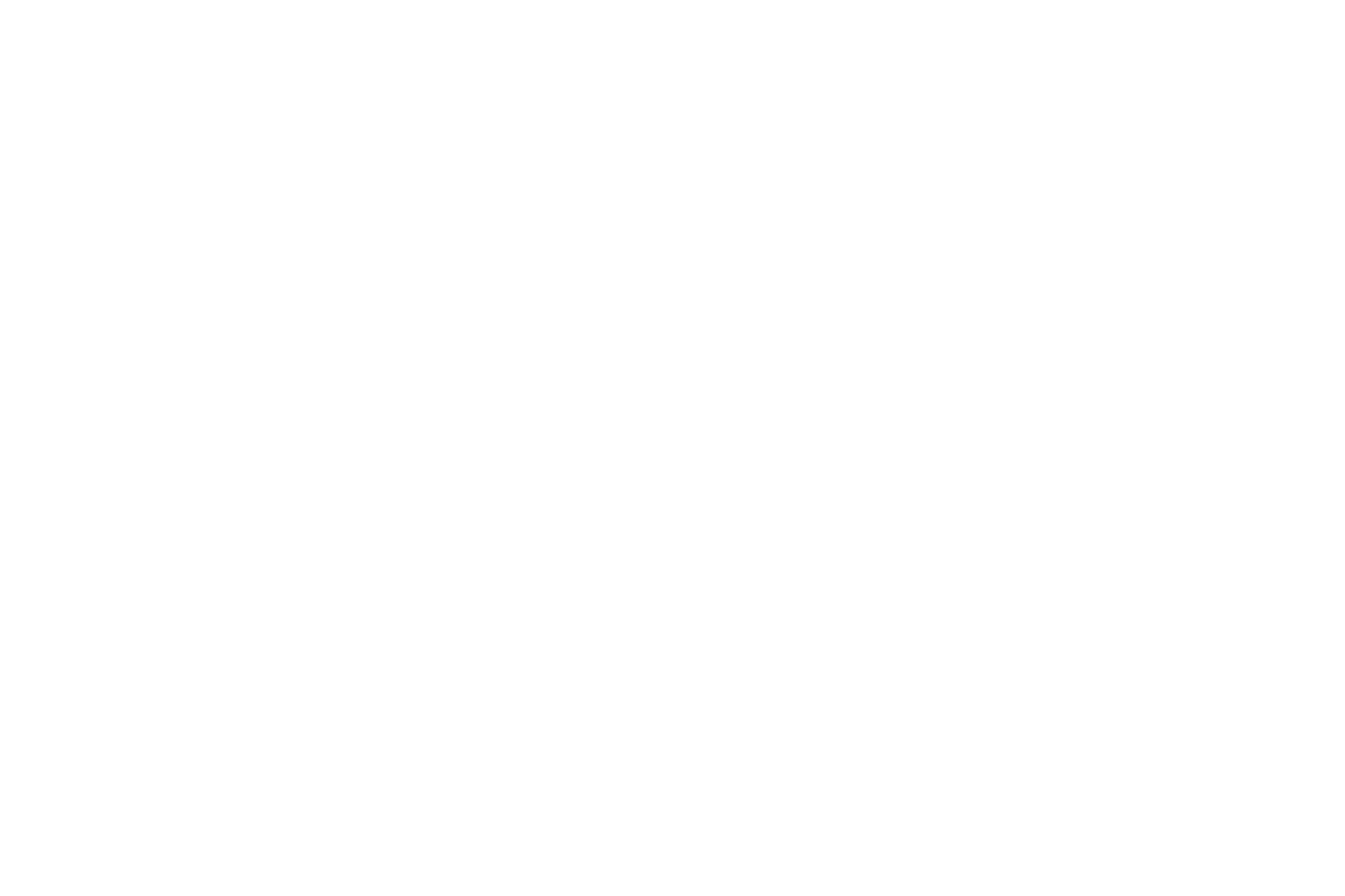 SCHH NEW LOGO ALL WHITE